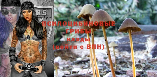 соль ск Володарск