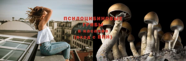 трава Волосово