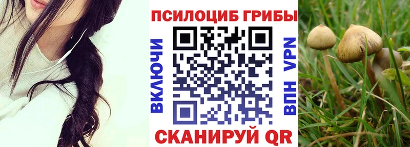 Купить закладки  Ессентуки  Галлюциногенные грибы Cubensis 